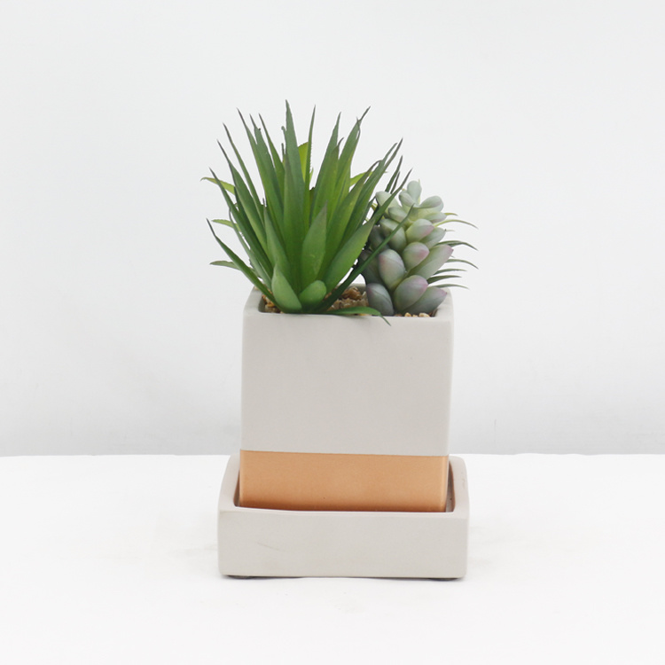 Ornamental-Evergreen-Indoor-Desktop-Decoration-Artificial-Succulent-Small-Succulent-Plant-with-Pot (2).jpg 